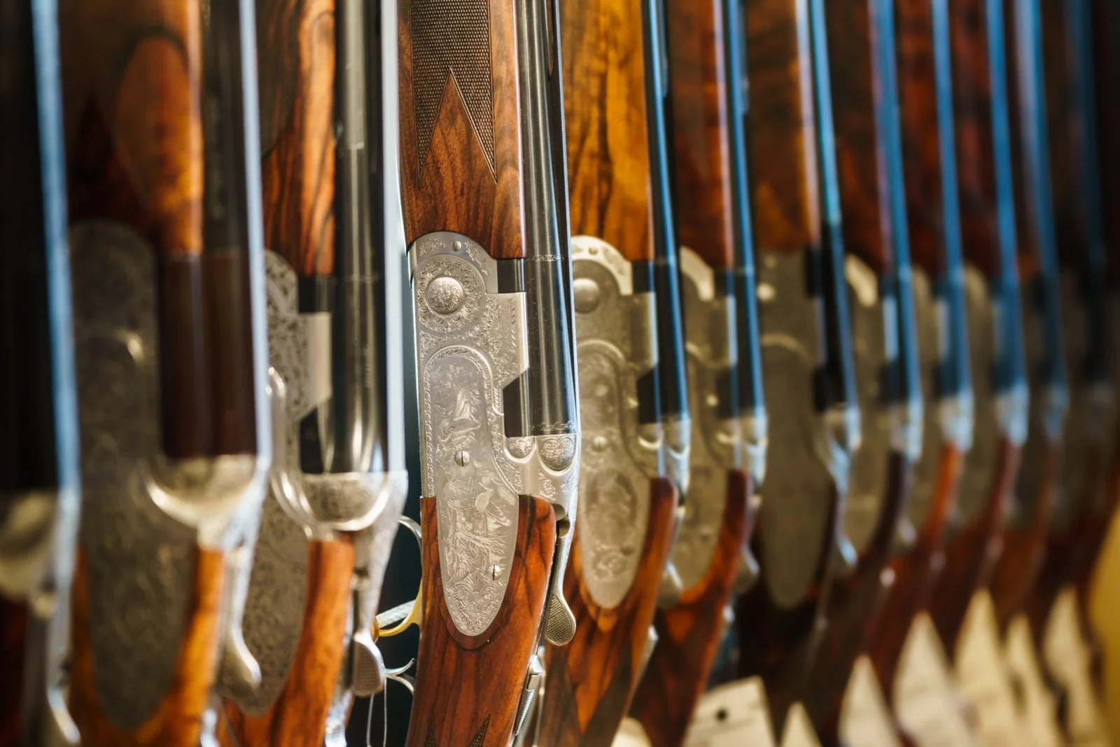 Shotguns lined up in gun cabinet